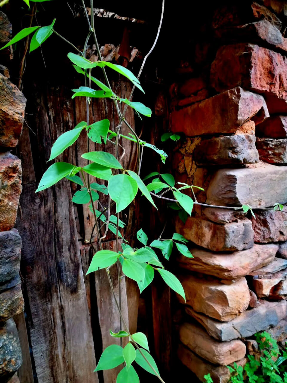 大理茶馬古道團(tuán)建鳳陽(yáng)邑古村落