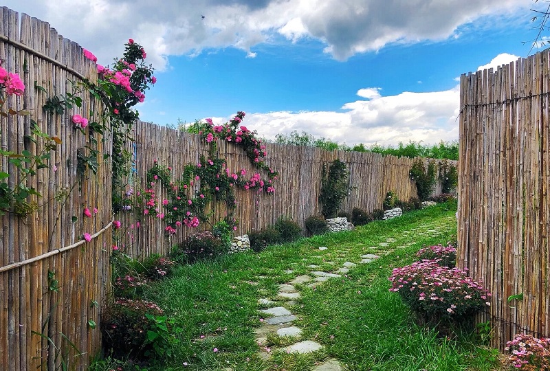 大理會(huì)議會(huì)展活動(dòng)