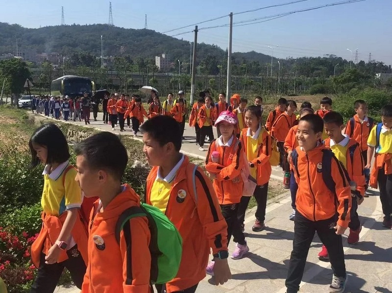 大理夏令營(yíng)活動(dòng)