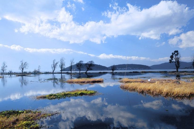 天行大理夏令營活動能為孩子提供哪些安全保障？
