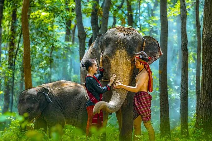 西雙版納 西雙版納