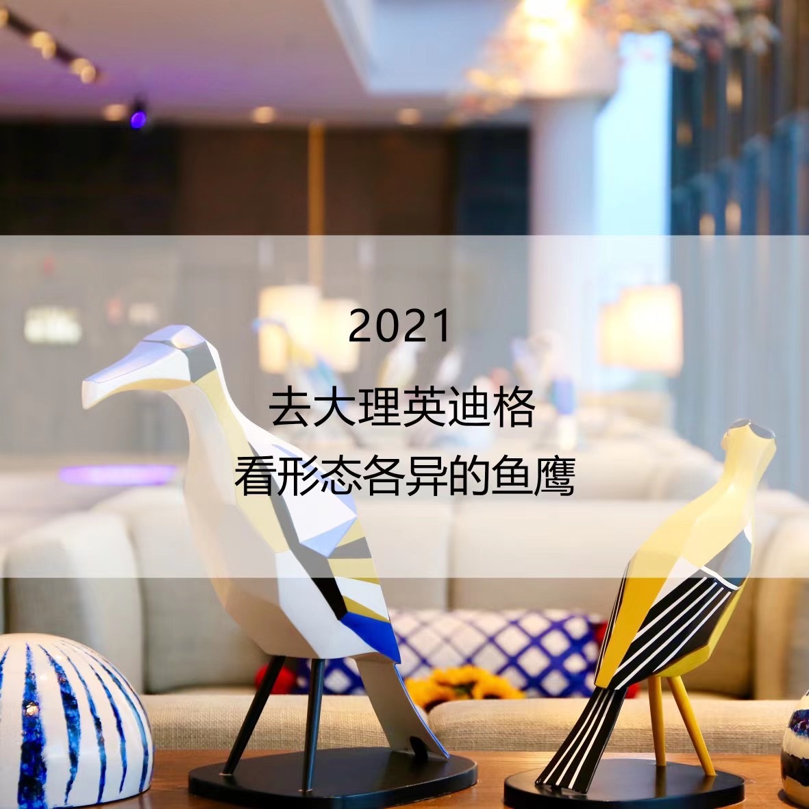 來大理洱海天域英迪格酒店感受不一樣的鄰里風(fēng)情