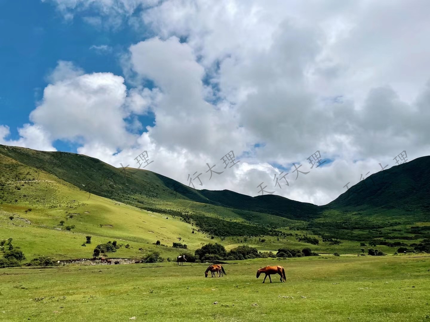大理洱源鳥吊山徒步露營(yíng)