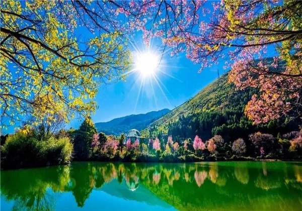 蝴蝶泉邊：邂逅超越時代的古老愛情，浪漫與幸福觸手可及