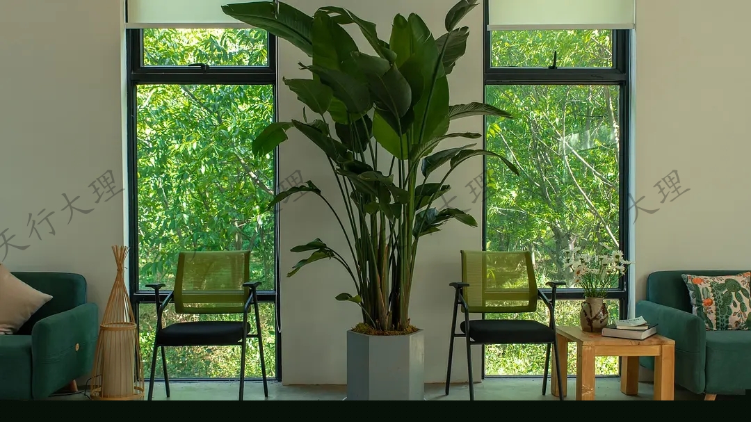 大理小重山鹿鳴山莊戶(hù)外基地