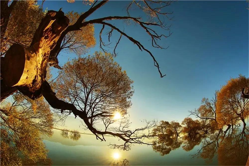 西龍?zhí)? width=