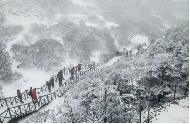 蒼山的風花雪月！簡直美到讓人尖叫！