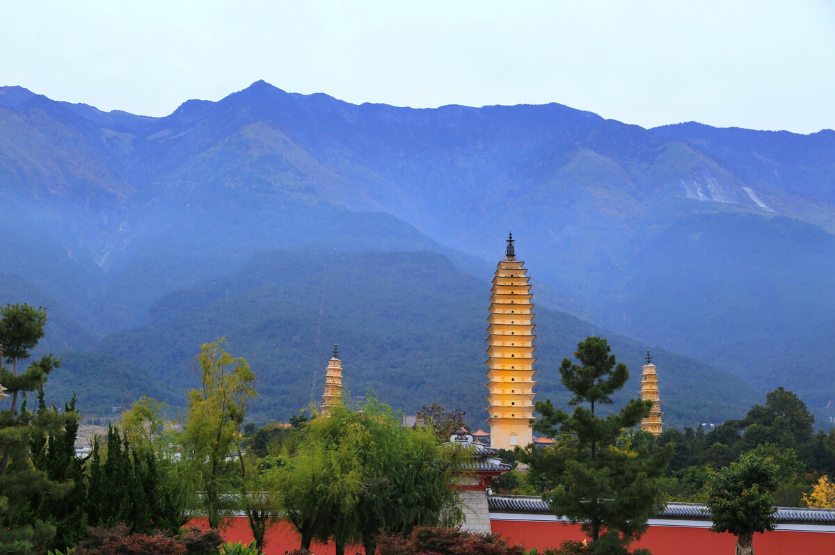 大理傳媒公司：蒼山西坡杜鵑花開成海，絕不辜負你賞春的心意！