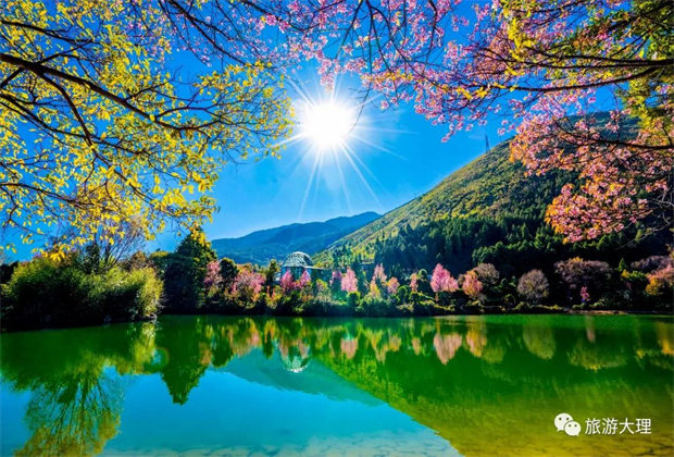 愛情集市、民間歌舞、洞經(jīng)音樂……去蝴蝶會(huì)邂逅獨(dú)屬于大理的浪漫