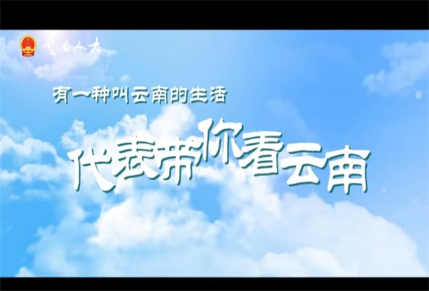 人大代表帶你看云南 走進有風(fēng)的大理