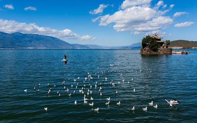 大理會務公司：大理秋日美食圖鑒！這份“貼秋膘”指南快收藏！
