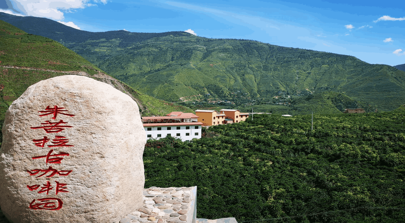 云南旅游,云南旅行社,云南團(tuán)建公司,云南策劃公司,云南會(huì)議會(huì)展,云南策劃執(zhí)行,大理旅游,大理旅行社,大理團(tuán)建公司,大理會(huì)議公司,大理會(huì)議會(huì)展,大理策劃公司:咖豆尋根·咖啡深度研學(xué)團(tuán)建之旅