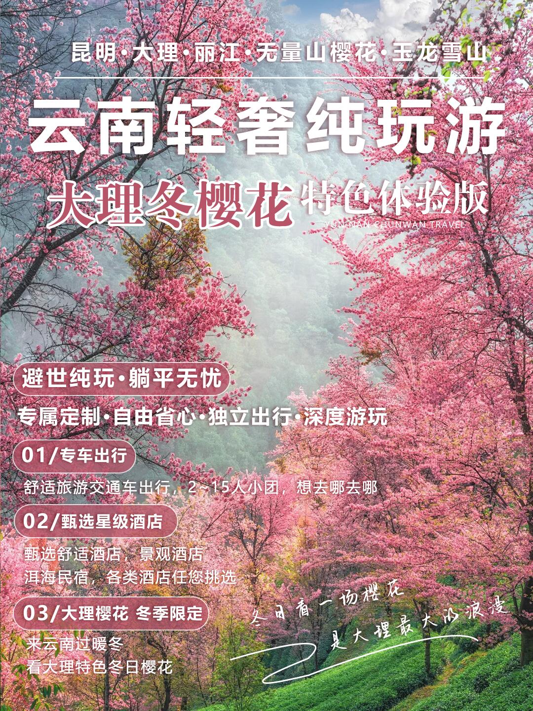 純玩小團人均1k+解鎖大理冬櫻6日游你不知道的秘密賞櫻地大理冬櫻寒假快沖！