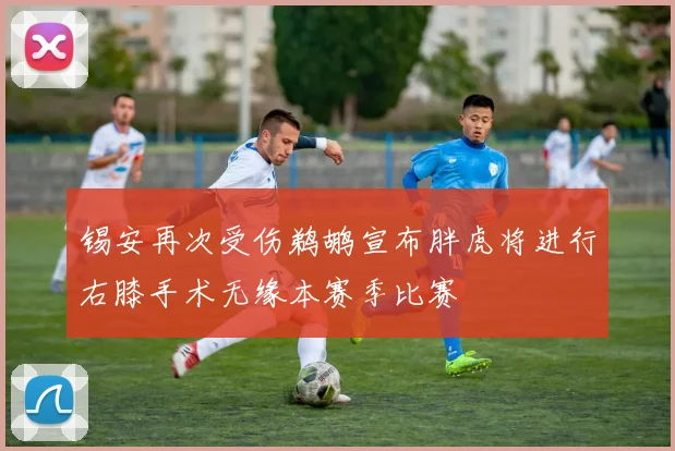锡安再次受伤鹈鹕宣布胖虎将进行右膝手术无缘本赛季比赛